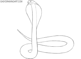 How To Draw A Cobra - Easy Drawing Art