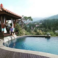 11 Beautiful Rainforest Hotels Around Jakarta To Escape From The City Rainforest Concrete Jungle Hotel