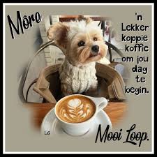 Goeie More Goeie More Good Morning Boyfriend Quotes Good Day Quotes