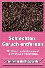 Schlechten Geruch Entfernen Mit Diesen Hausmitteln Riecht Ihre Wohnung Wieder Frisch Geruch Entfernen Geruch Haushalts Tipps
