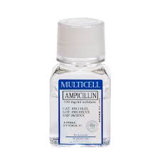 Image result for Ampicillin