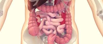 Many bone cancer symptoms may also be caused by conditions such as arthritis, osteoporosis or injury. Genetic Test Could Predict Stomach Or Esophageal Cancer Relapse Oncology Central
