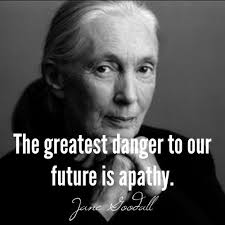 We Cannot Solve Our Problems With The Same Level Of Thinking That Created Them Meaning Rulesformynewborndaughter Rules For My Newborn Daughter Jane Goodall Quotes Inspirational Quotes Life Quotes