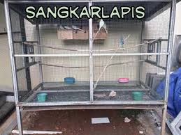 Agar ternak lovebird kamu bisa sukses. Cara Membuat Kandang Ternak Lovebird Dengan Bahan Seadanya Sangkarlapis