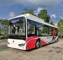 Quality Choice Luxury Mini Electric Bus Eco-Friendly Features Compact  Solutions New Condition