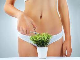 Pubic Hair Care Styles Removal Trends Who Magazine