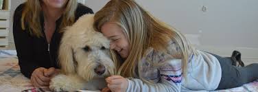 Those medical providers and therapists who support aat believe it has many benefits such as helping with personal and social. Animal Assisted Therapy Humane Society Of Sonoma County