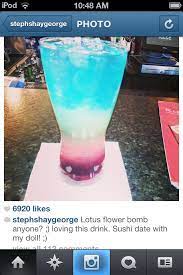 Lotus Flower Bomb Lotus Flower Bomb Pilsner Glass Drinks