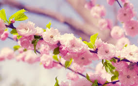 Support us by sharing the content, upvoting wallpapers on the page or sending your own background. Wallpapers For Girls Wallpaper Cave