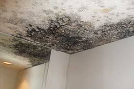 Schimmel in der wohnung sieht nicht nur eklig aus, er kann auch ein gesundheitsrisiko darstellen. Schimmel An Der Decke Schimmelpilz An Der Decke Bekampfen