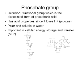 Functional Groups Ppt Download