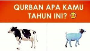 Detikcom On Twitter Siap Siap Ngakak Deretan Meme Kocak Hewan Kurban Https T Co 49cufblvgc Via Detikinet