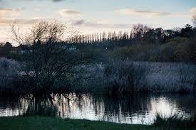 File:Cold Winter Light Of An Autumn Dusk (184571265).jpeg