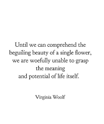 Virginia Woolf Virginia Woolf Quotes Pretty Words Literary Quotes