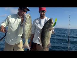Maybe you would like to learn more about one of these? Reel Time Florida Sportsman Inshore Grouper Season 1 Ep 1 Rtfs Youtube