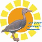 Resultado de imagen de platillos tipicos de pijijiapan