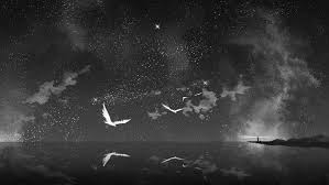 Black And White Scenery Wallpaper Image Result For Sky Stars Anime Art Black And White Anime Scenery Dark Landscape Scenery Pictures