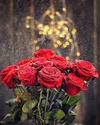 Image In Flowers Collection By Linda On We Heart It Love Rose Flower Beautiful Flowers Beautiful Roses