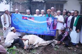 Cara sembelihan lembu korban menggunakan teknologi moden. Ibadah Qurban Cara Pelaksanaan Ibadah Yang Betul