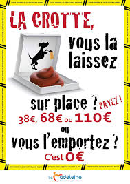 Si vous lisez cet article c'est que vous avez un chien qui a pris la mauvaise habitude de manger ses propres. La Madeleine Crottes De Chiens Ce Sera 110 Euros A Payer Lille Actu