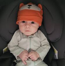 Avocado and sour cream goyza with red wine