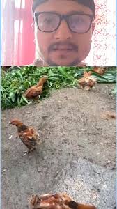 Bhakte bhai le didi vane pachi Bhaktay Don Dong Suntali