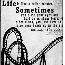 Life is like a roller coaster, big turns, wild loops, never know whats coming next, thrusting you forward and then slowing you down. Life Is A Roller Coaster Quotes Quotesgram