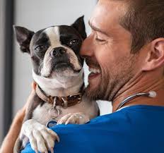 We list 5 clinics in waukesha, out of a total 117 in wisconsin. Pet Health Wellness Vet Clinic Menomonee Falls Wi Family Pet Clinic