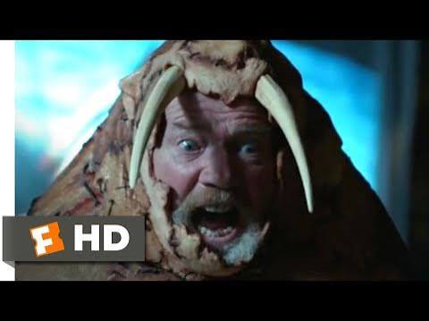 Tusk (2014) - Walrus vs. Walrus Scene (9/9) | Movieclips - YouTube