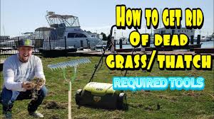 Get control before germination begins. How To Get Rid Of Dead Grass Thatch Required Tools Youtube