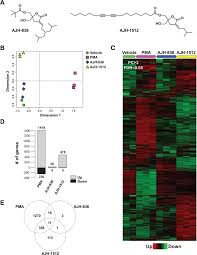 In nederland hebben we een aantal feestdagen, zoals pasen, pinksteren en kerst. Differential Regulation Of Gene Expression In Lung Cancer Cells By Diacyglycerol Lactones And A Phorbol Ester Via Selective Activation Of Protein Kinase C Isozymes Scientific Reports