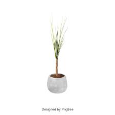 Plants Potted Small Potted Plants Png Transparent Clipart Image And Psd File For Free Download Small Potted Plants Small Flower Pots Plants