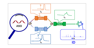 Pdf] Rna Analysis By Ion-Pair Reversed-Phase High Performance Liquid  Chromatography. | Semantic Scholar