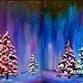 WINTER SPLENDOR**Public BLACKLIGHT Event** event in Plantation, FL