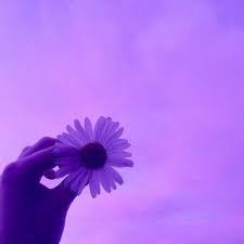 Jun 23, 2021 · purple prose is a term used to describe writing that is too fancy and elaborate. Purple Aesthetic Purple And Aesthetic Image 7028528 On Favim Com
