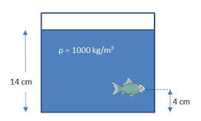 Maybe you would like to learn more about one of these? 5 Contoh Soal Tekanan Fluida Hidrostatis Beserta Pembahasannya Materi Kimia