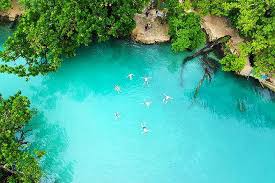 The best nature & wildlife tours august 12, 2021 brain ambrose vanuatu (english: Die Besten Highlights Der Insel 2021 Port Vila Tiefpreisgarantie