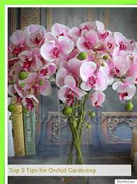 Raising Orchids In Your Garden Beautiful Flower Arrangements Flower Arrangements Fake Flowers Wedding
