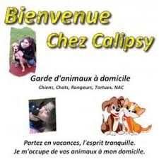 Bonjour, je suis étudiante et j'aime le contact avec les animaux. Garderie D Animaux Chez Calipsy 67850 Petites Annonces En Promenade Et Garde D Animaux A Herrlisheim 67850 Sur Aladom Fr