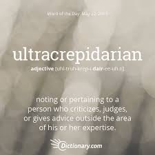 Dictionary Com S Word Of The Day Ultracrepidarian Noting Or Pertaining To A Person Who Criticizes Judges Unusual Words Uncommon Words Words