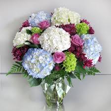Check spelling or type a new query. Full Of Hydrangea Bouquet Large Voted Best Of The Best In The South Shore Stoughton Canton Sharon Avon Norwood Easton Randolph Bridgewater Holbrook Whitman And Brockton Ma Florist Central Florist And