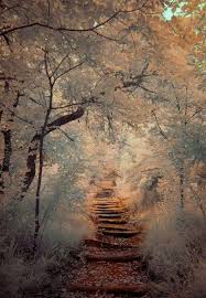 Pin By Gonca Yelkovan On Nature In 2020 Beautiful Nature Wallpaper Nature Wallpaper Beautiful Nature