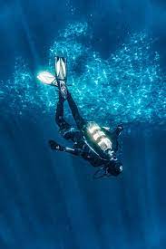 All of the diving wallpapers bellow have a minimum hd resolution (or 1920x1080 for the tech guys) and are easily downloadable by clicking the image and saving it. 2 000 Best Scuba Diving Photos 100 Free Download Pexels Stock Photos