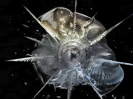 bullet hole in glass 1