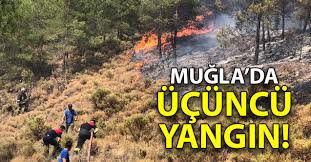 Muğla'nın fethiye ilçesinde, makilik aldan başlayıp ormanlık alana sıçrayan yangını, ekiplerin havadan ve karadan müdahalesi ile söndürüldü.edinilen bilgiye göre; Mugla Fethiye De Yangin
