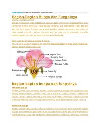 Setelah proses pembuahan, bunga akan semakin berkembang untuk lebih lanjut membentuk buah. Doc Bagian Bunga Nur Khaedori Khaedori Academia Edu