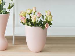 Ovale Vase Blumenvase Klein Asa Selection Puderrosa Blumen Vase Blumenvase Puder Rosa