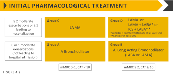 Image result for Medications in COPD Management