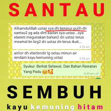 Temu hitam atau temu ireng merupakan tanaman liar dan banyak tumbuh dihutan jati, padang rumput ladang atau pekarangan rumah dengan. Facebook