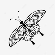 Large white (more images) large butterfly with clean white wings with conspicuous black tips to the forewings. Insect Butterfly Flapping Its Wings Butterfly Clipart Black And White Scale Pattern Antenna Png Transparent Clipart Image And Psd File For Free Download
